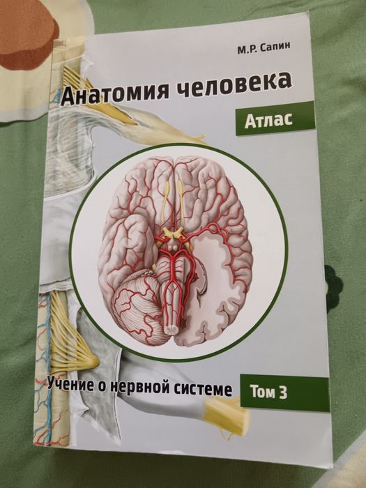 Сапин, Анатомия человека атлас 3 том