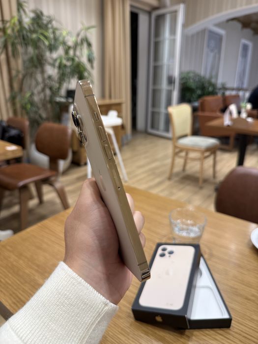 Iphone 13 Pro Max 256 GB