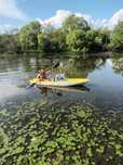 Canoe Trinidad  bic  capacitate max 2 adulți + un copil