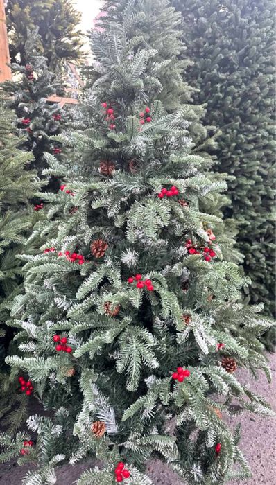 Qorli, yashil, g’uddali, qizil mevali ARCHA. Елки снежные, зеленые