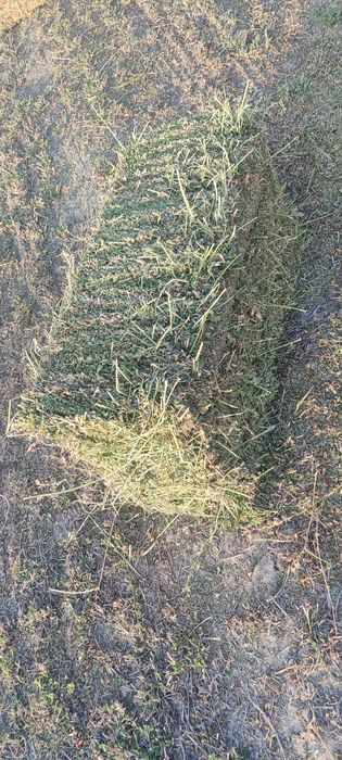 Беда ва бугдой  самони сотилади