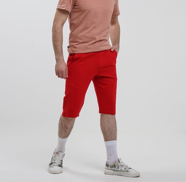 Шорты мужские greed