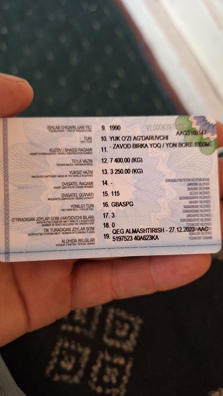 Gaz 53 xujjatda momo yoq