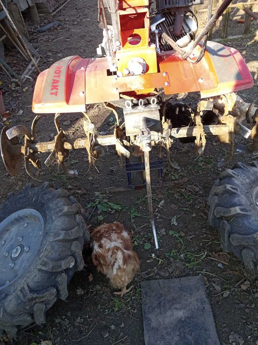 Motocultor ROTAKT 15 cp benzină ,cu freze și accesorii