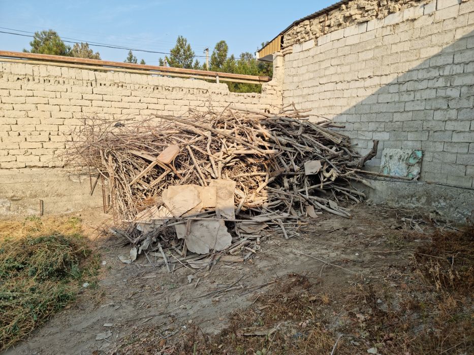 Утин Сотилади Кунда Шохлар