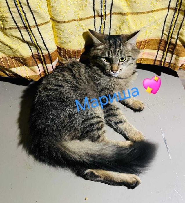 По дороге к счастью ... девочка Мариша и Ева