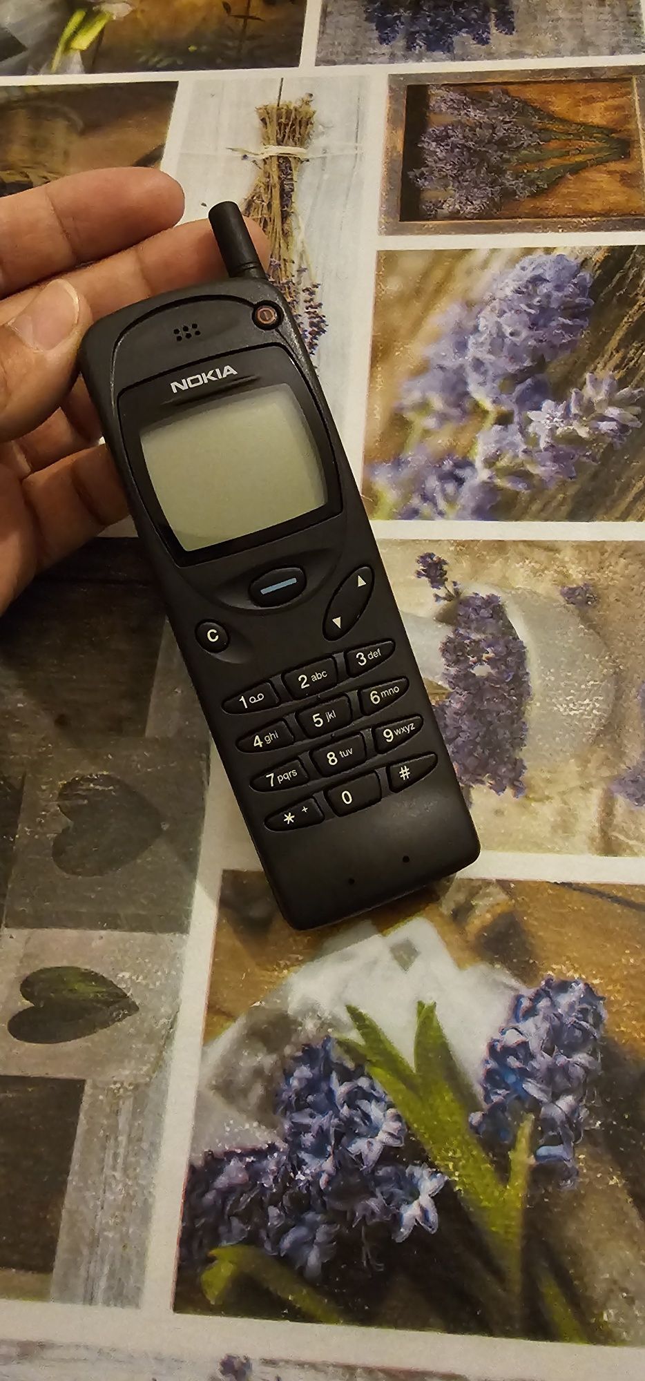 Nokia 3110 vintigi de colecție arata foarte bine