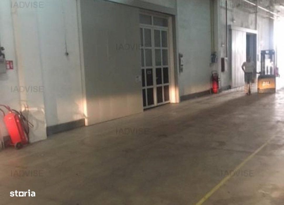 Spatiu industrial/Depozite/Hale