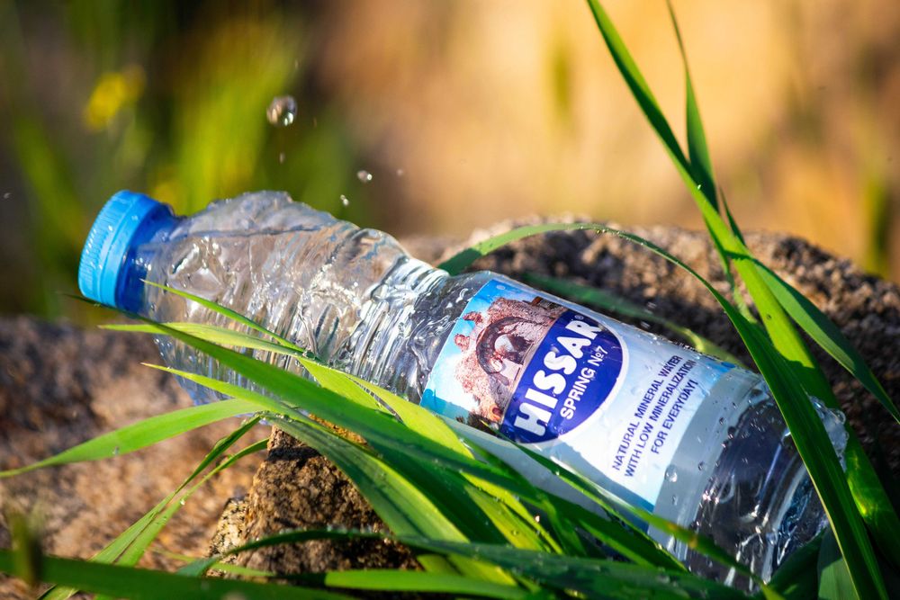 Фотограф / Графичен дизайнер / Печатни и рекламни услуги