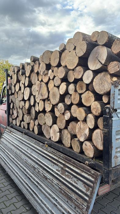 Lemn de foc esență tare