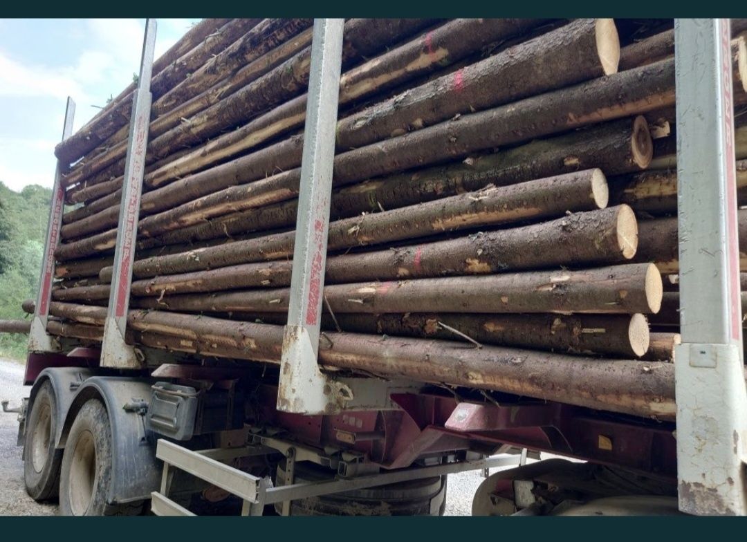 Căpriori molid ,bile manele, lemn rotund ,pentru constructii