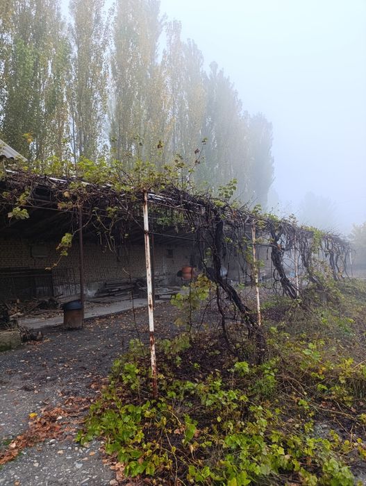 Сотилади Турар жой 20 сотик