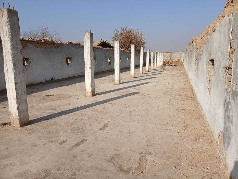 Ферма Тошкент вилояти Уртасарай (БУҚА)