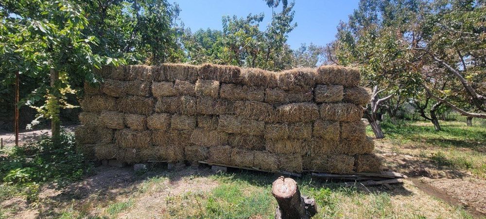 Сифатлик беда,хашак,тариқ аралашмасидаги пресс