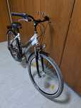 Bicicleta de dama