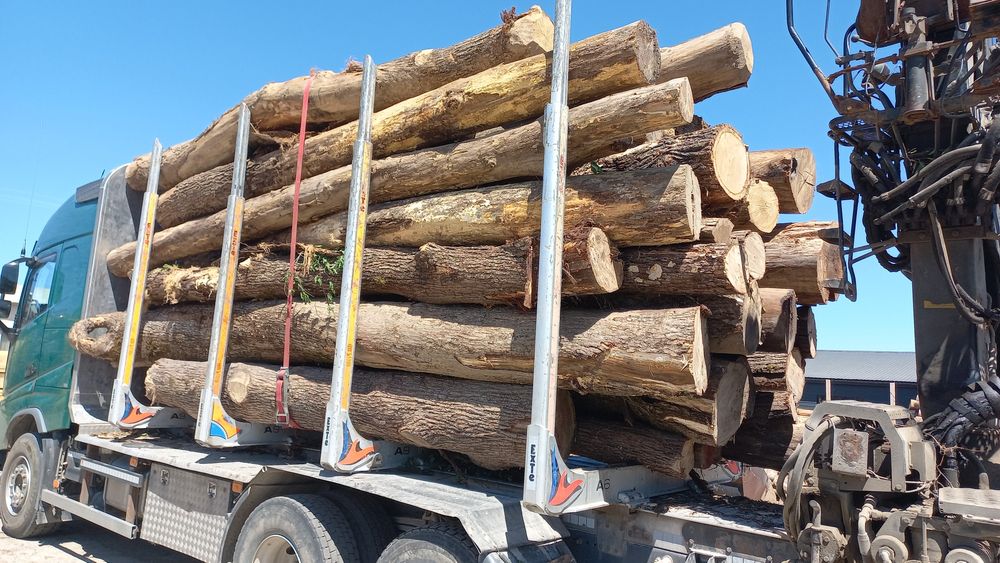 LEMN DE FOC de vanzare