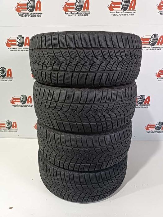 225/45/17 94V MINERVA CP N10740 M+S IARNA