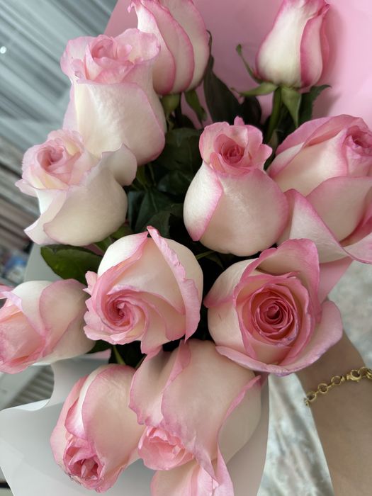 Продам голландские розы 11 штук!!!