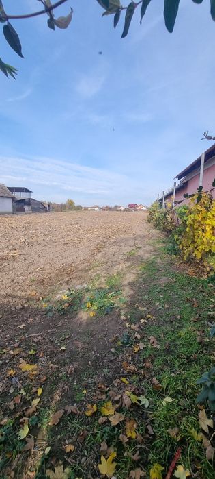 Vand teren intravilan 5493 cu utilitati , Mădăras