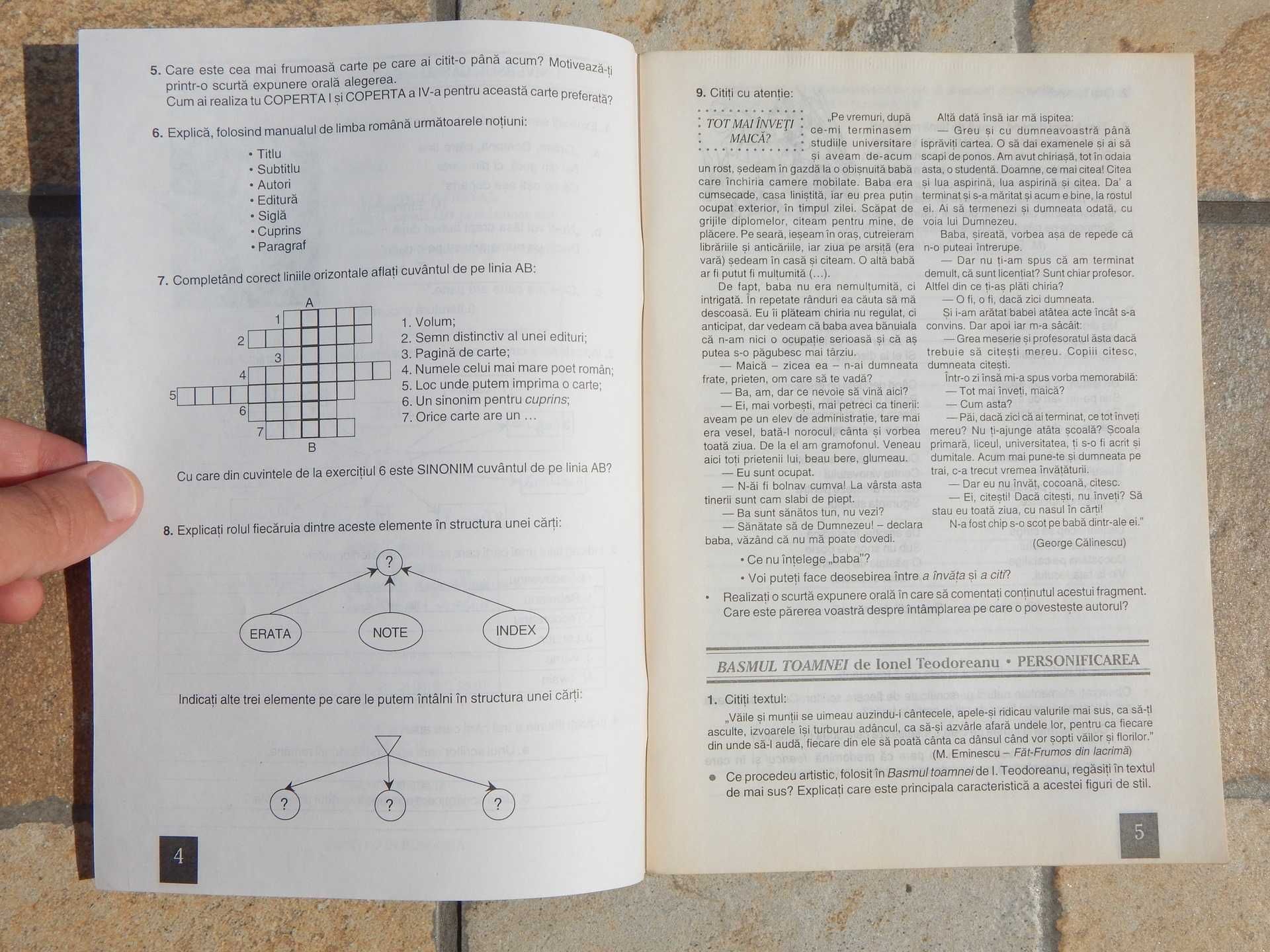 Caietul elevului romana VI S Serban A Serban All Educational 1999