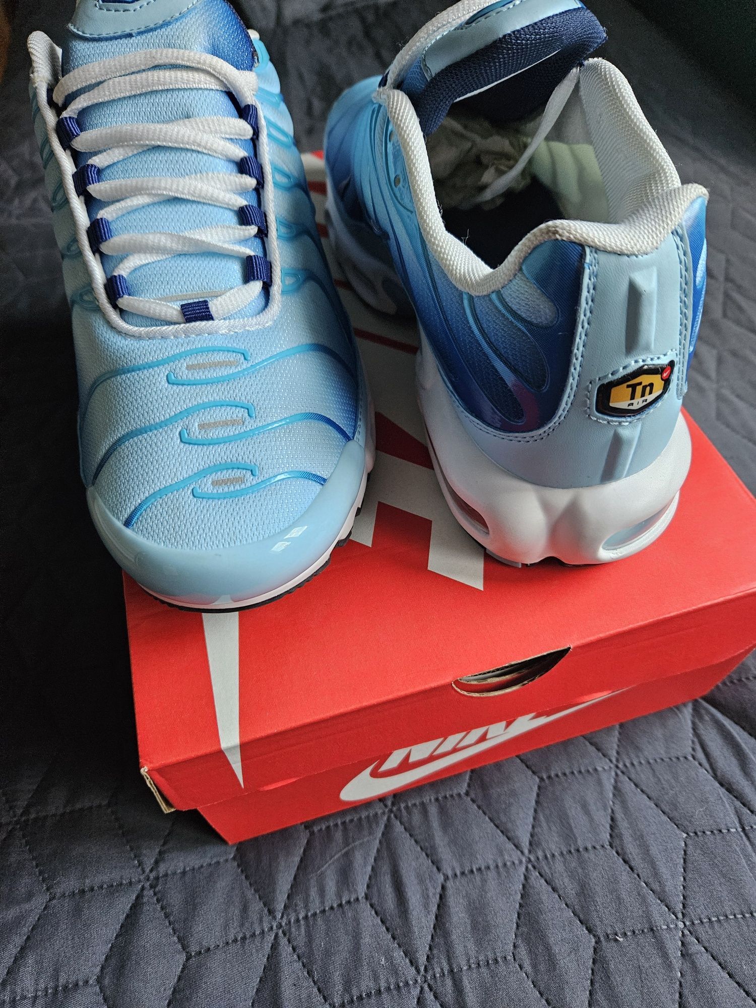 Маратонки Nike Air Max TN