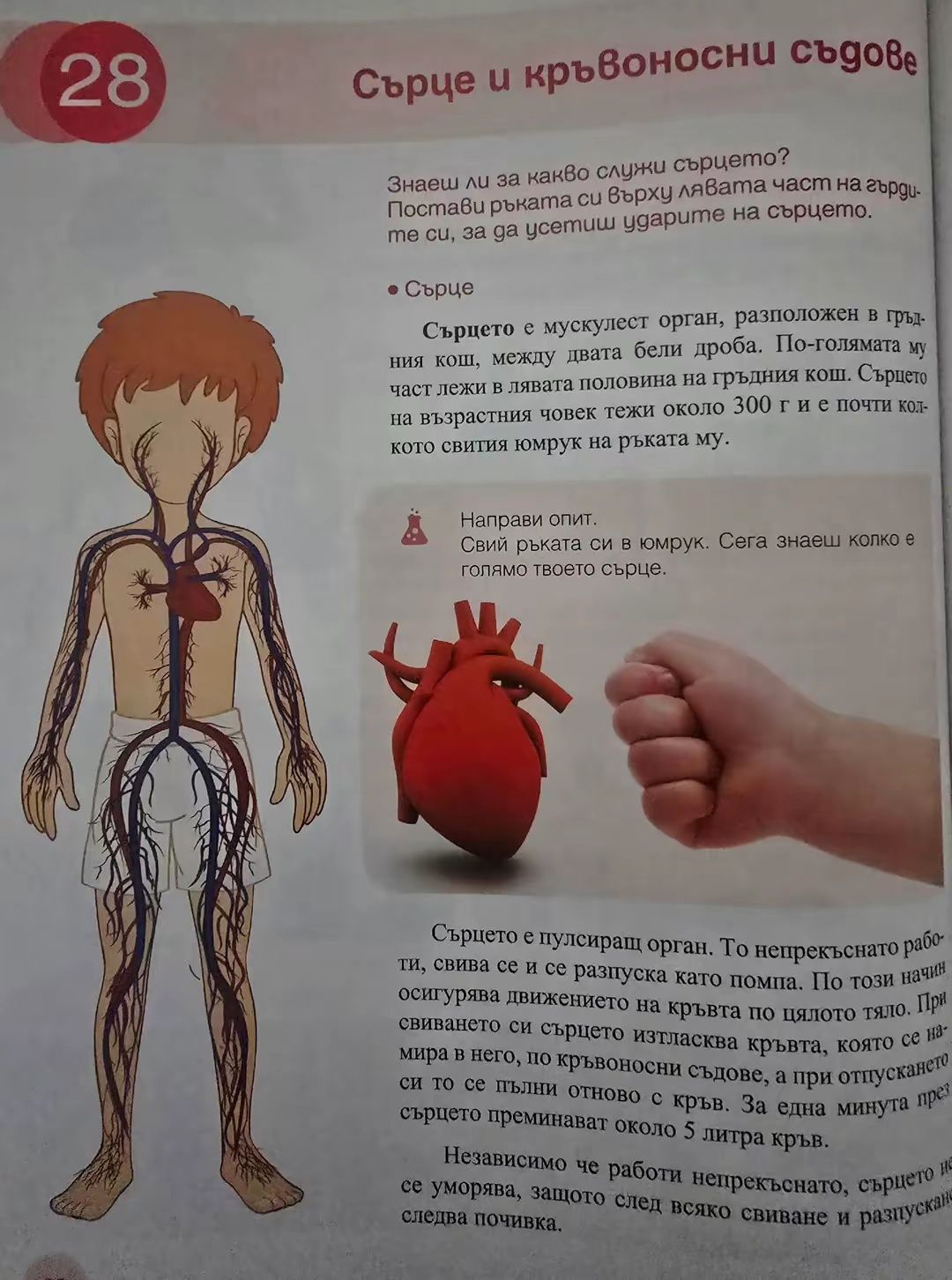 Учебниk no Човеkът u npupogama- 3.kлас