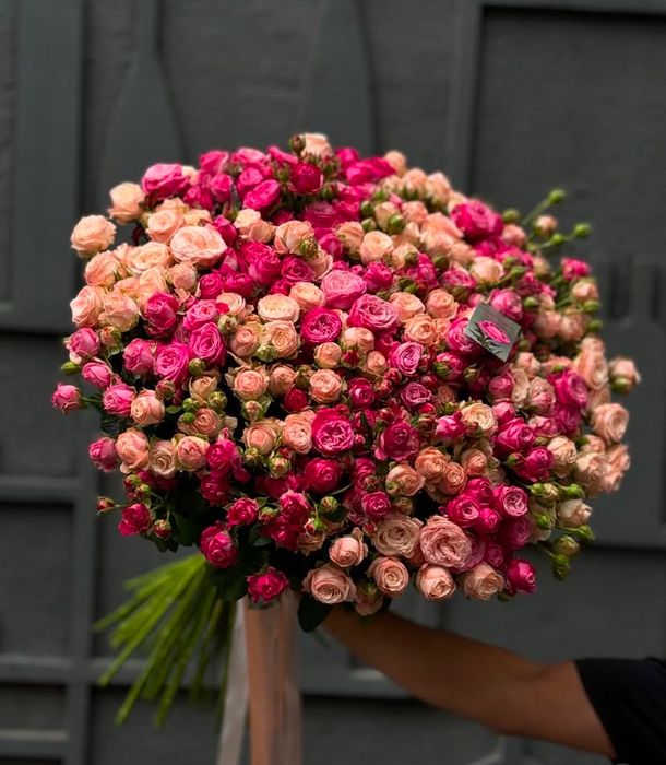 Голландия новые, большой выбор