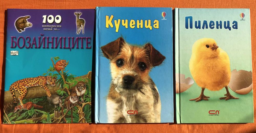 Нови/почти нови книжки -математика,4клас,модели,бозайници,мече+принц
