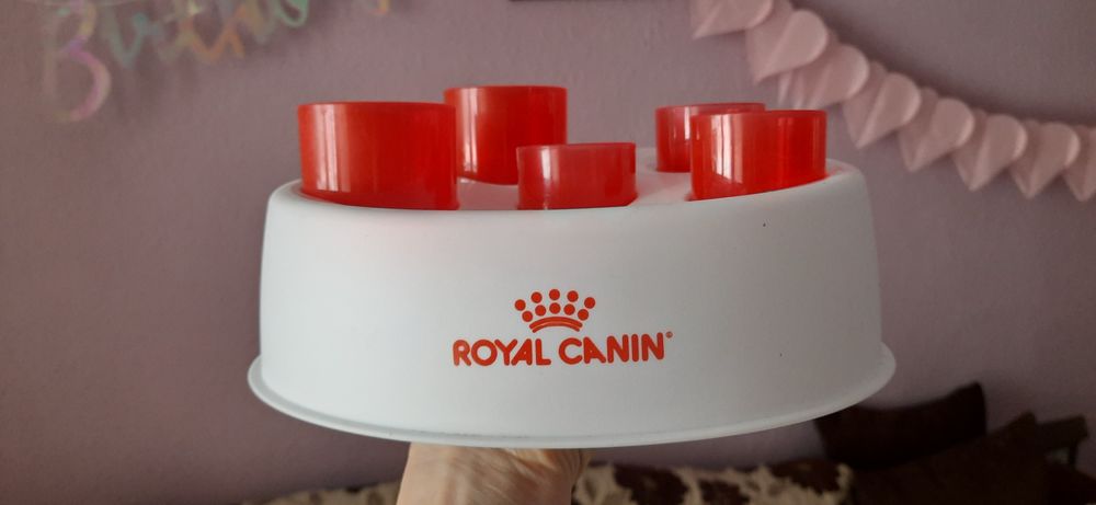 Игра за бавно хранене на котка digger royal canin