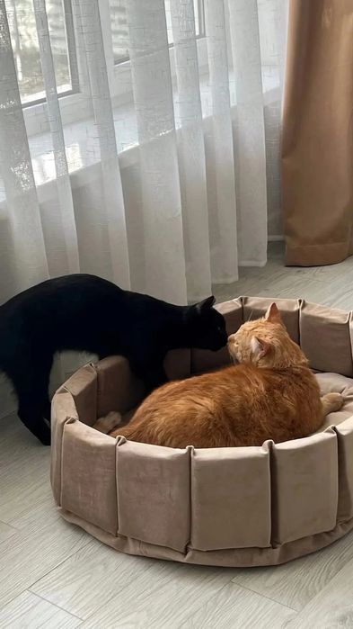 Лежанка когтеточка в наличии и под заказ