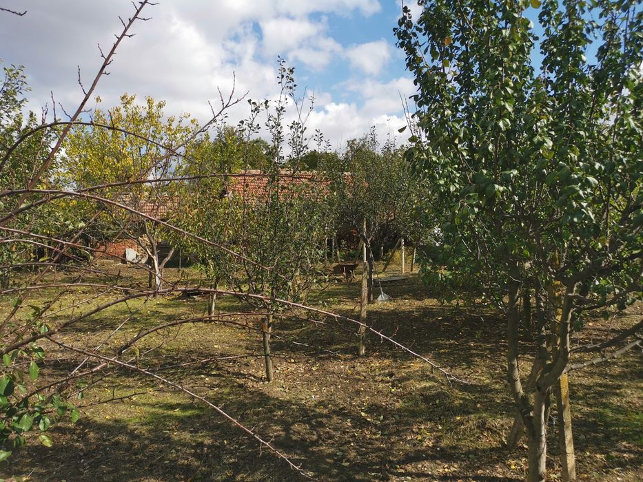 Продавам къща в село Пелишат, Плевенско