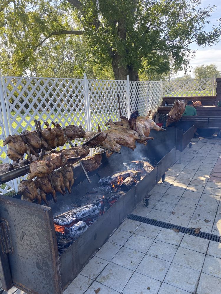 Protap de porc, vitel, berbecut, oaie, pui, curcani