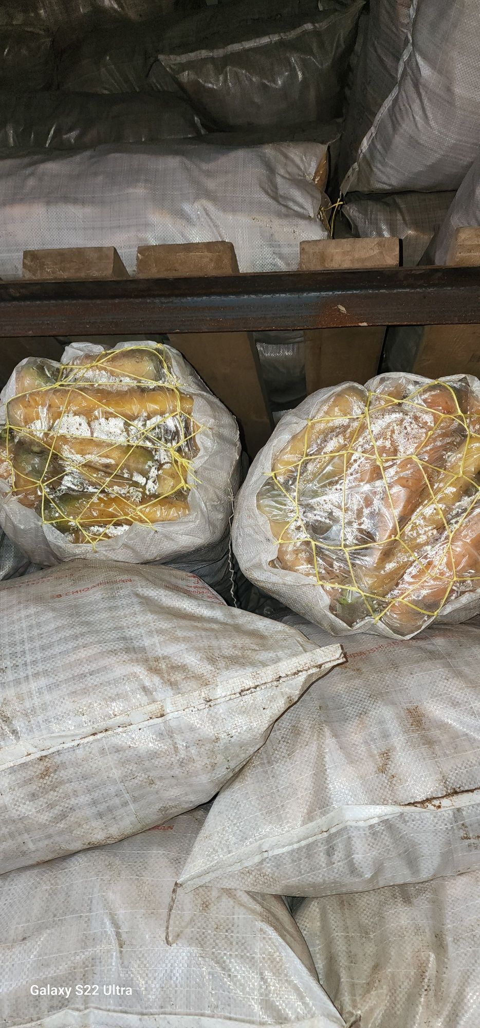 Xolodilnik sabzi