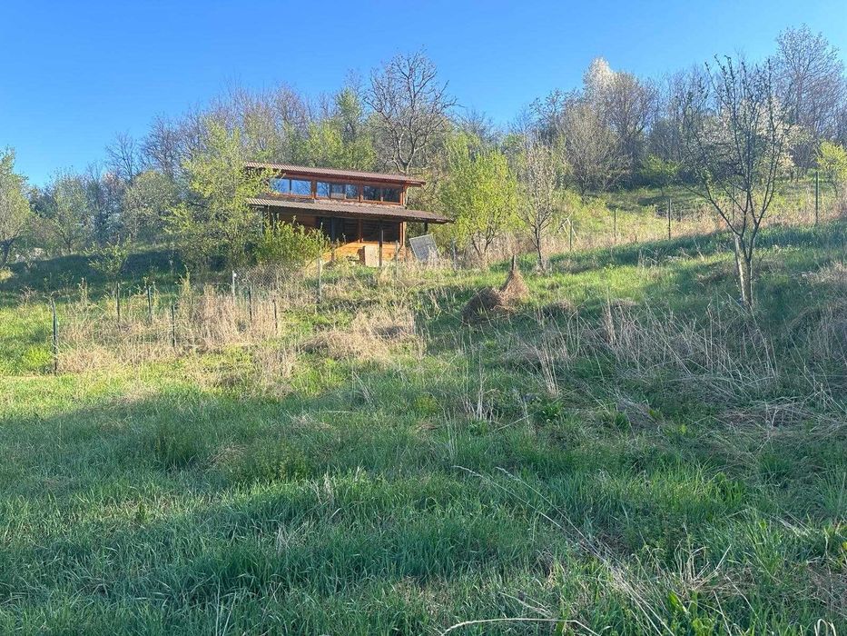 vând teren în sat Mustatesti, valea Iasului