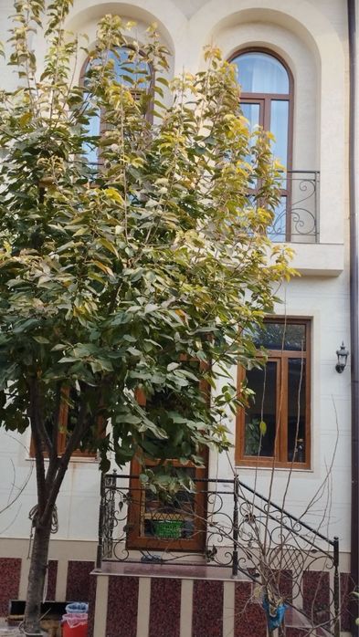 Уй сотилади