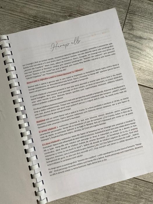 Materiale BAC filologie 2022