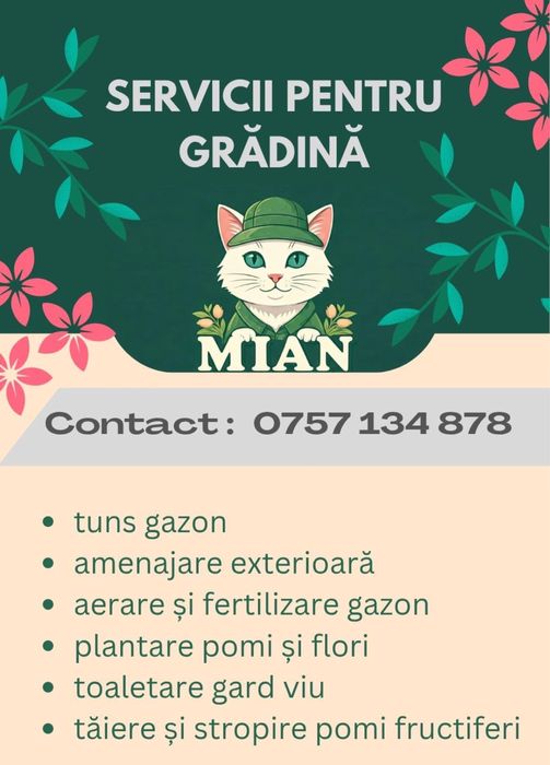 Tuns gazon, scarificare gazon, servicii gradinarit