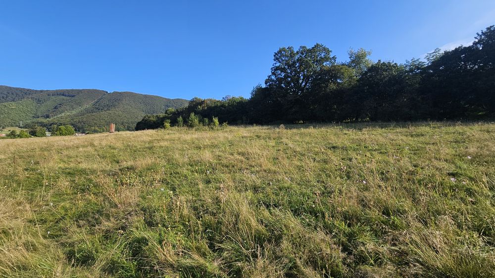 Teren intravilan zona mănăstirii Efrem cel Nou