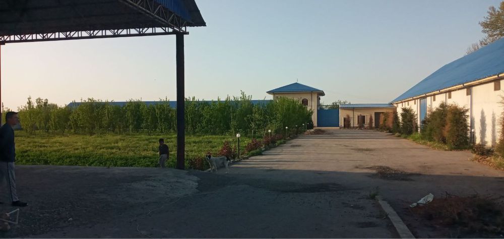 Продаётся комплекс (холодильник, склад, оборудование для сушки фруктов