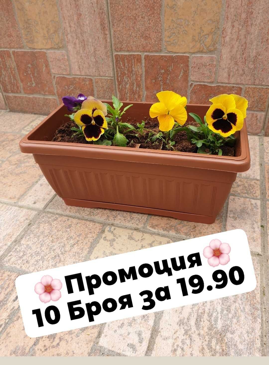 Промоция 10 броя сандъче 30 см с подложка за 19.90! САНДЪЧЕ ЗА ЦВЕТЯ