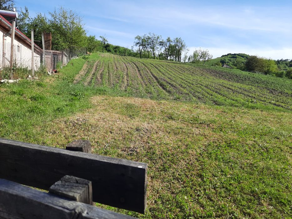 Vând teren intravilant 15 ari