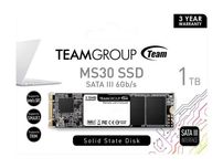 SSD M2 SATA 1Tb Teamgroup MS30 (BOX)