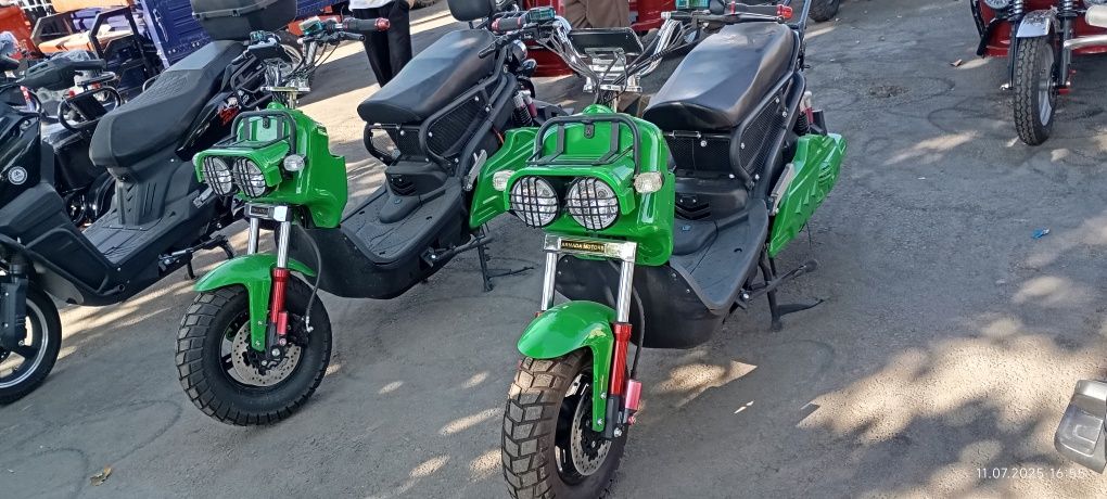 Arzon Tokli muraveyla va skuyerla bor