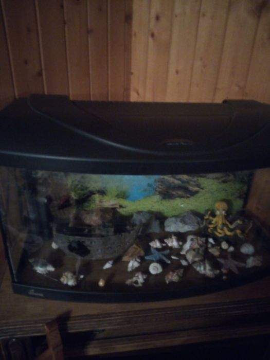Vind acvariu diversa 112 l