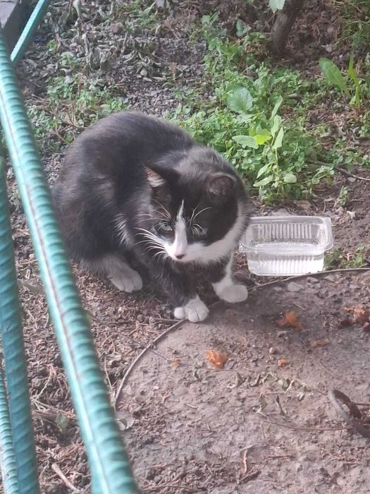 В самые ответственные руки