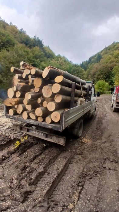 Lemn de Foc FAG! Cele mai bune preturi!!Tot judetul !!