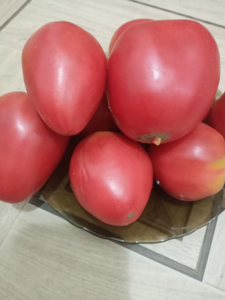 Помидоры домашние