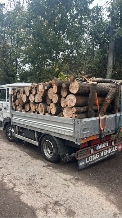 Lemne de foc esenta tare