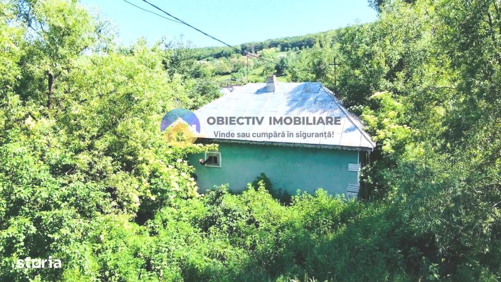 TEREN intravilan + casa  DOBRENI - SARATA