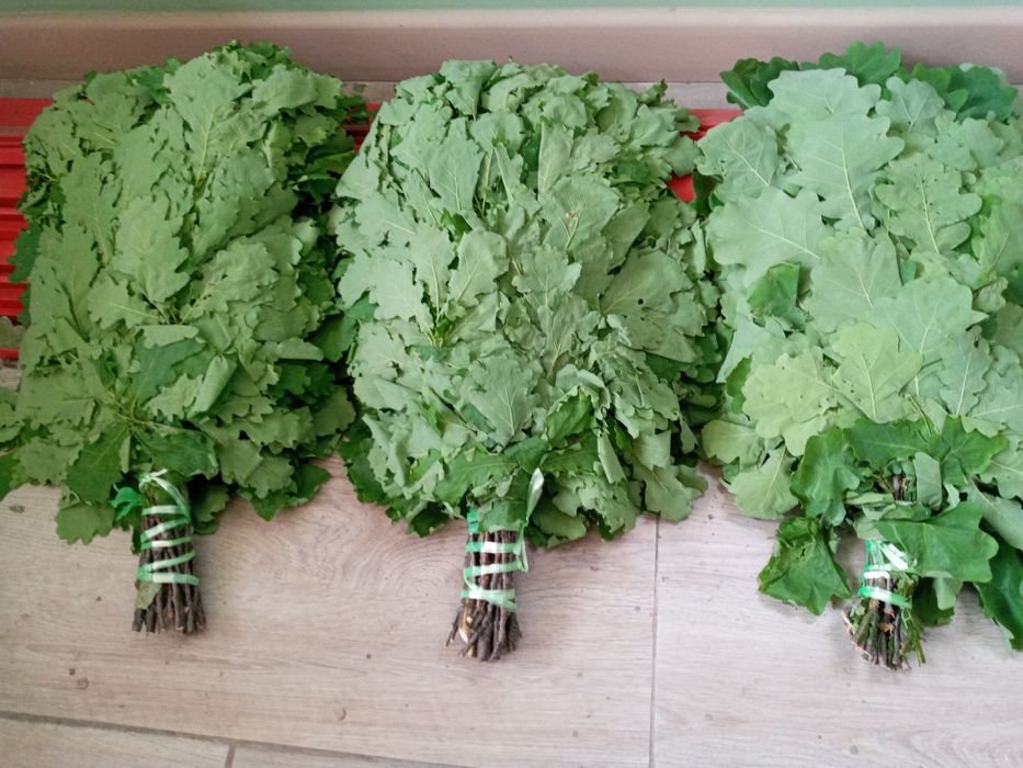 Веники лубовые ,березовые, пихтовые ,бамбуковые веники,Пихтовое Масло,